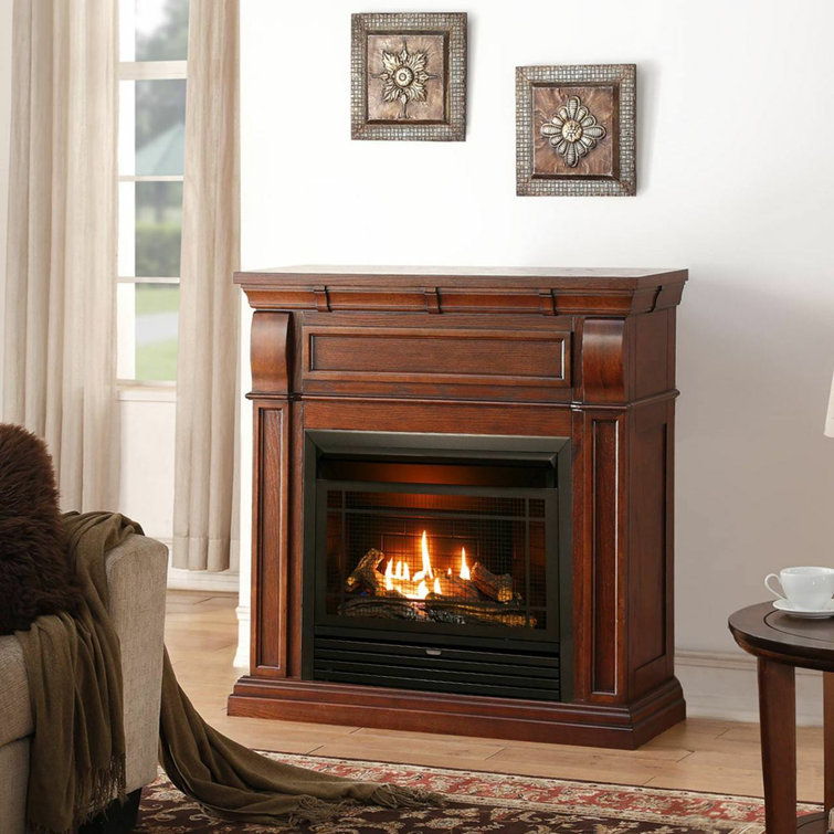 Darby Home Co Zellmer Vent Free 26,000 BTU Dual Fuel Propane/Natural